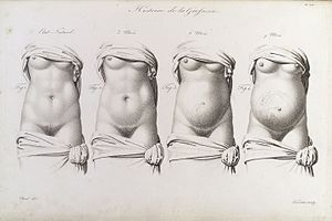 Stages in pregnancy as represented by the growth of the womb Wellcome L0038224.jpg